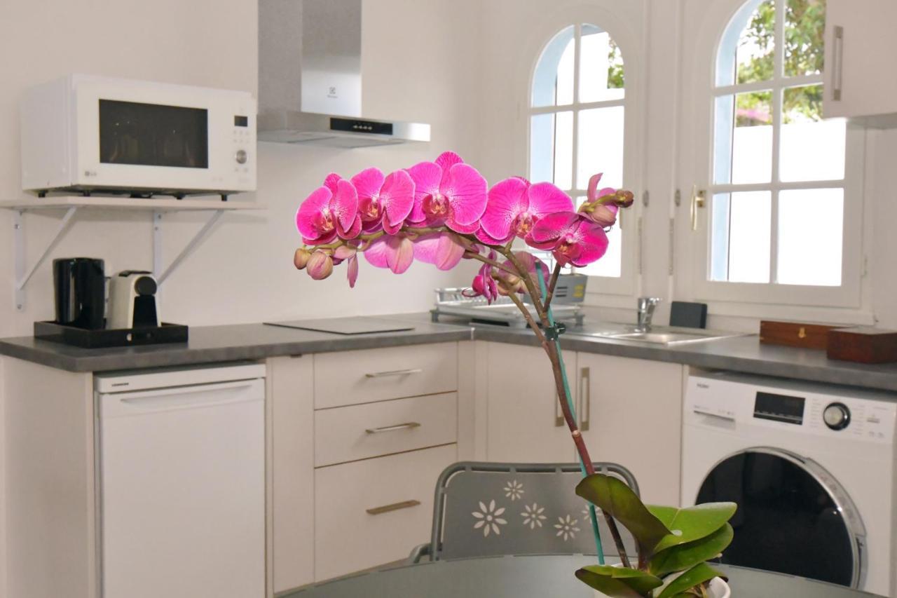 Le Jacaranda Du Guillaume Bed & Breakfast Le Guillaume Exterior photo